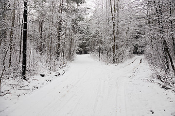 Image showing the winter road  