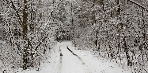 Image showing the winter road  