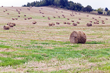 Image showing straw stack  