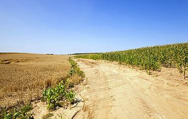 Image showing rural road  