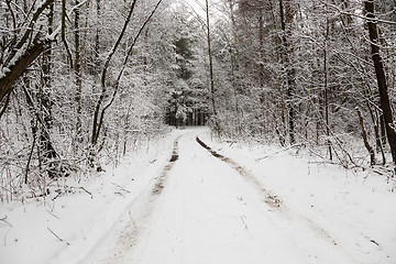 Image showing the winter road 