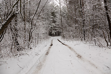 Image showing the winter road  