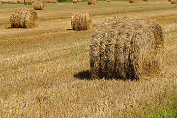 Image showing straw stack 