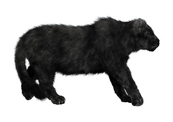 Image showing Black Panther