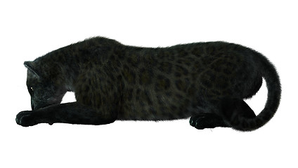 Image showing Black Panther