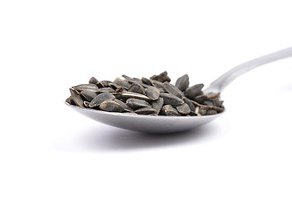 Image showing Bird seed on spoon