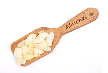 Image showing Almond slices on shovel