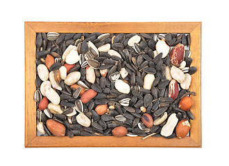 Image showing Bird seed in frame