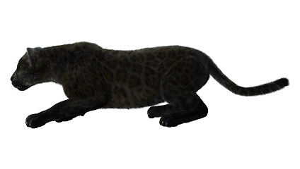 Image showing Black Panther