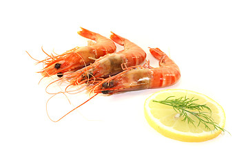 Image showing three Shrimp with lemon