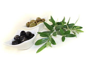 Image showing fresh olives