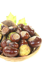 Image showing brown horse chestnuts in a basket