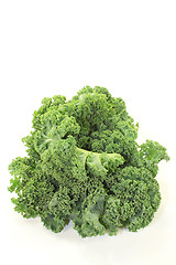 Image showing green Kale