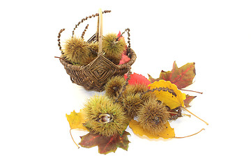 Image showing sweet Chestnuts in a basket