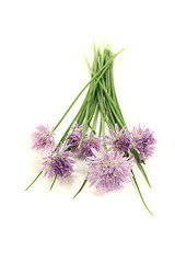 Image showing fresh chives with blossoms