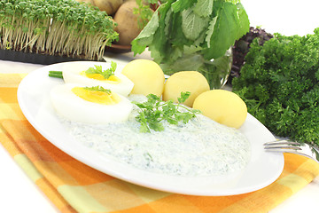 Image showing Frankfurt green sauce with cress