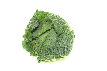 Image showing fresh savoy cabbage