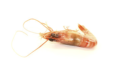Image showing cooked shrimp