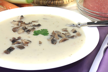 Image showing fresh Veal cream soup