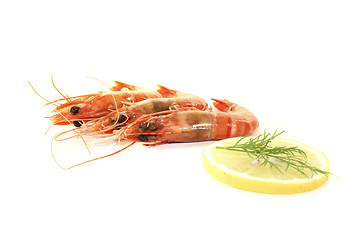 Image showing three Shrimp with lemon and dill