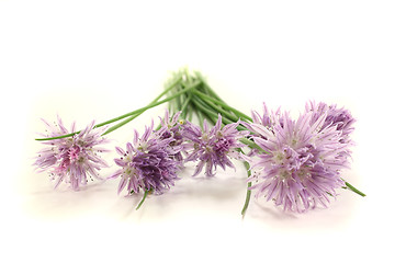 Image showing fresh chives