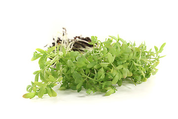Image showing fresh green garden cress