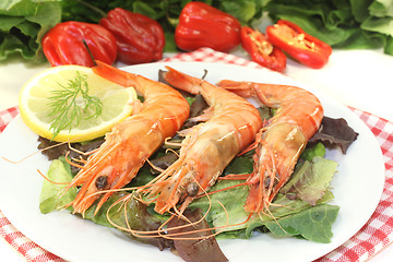 Image showing fresh orange Shrimp