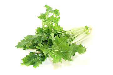 Image showing green Turnip greens