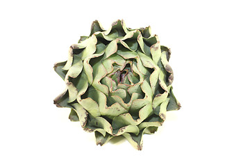 Image showing one whole artichoke