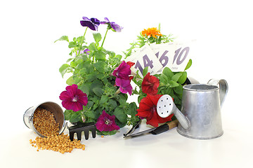 Image showing slow-release Fertilizer with garden tools