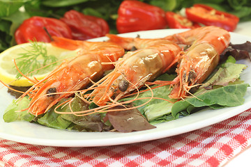 Image showing Shrimp