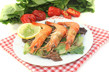 Image showing fresh Shrimp