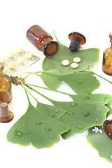 Image showing Ginkgo leaves with globules and tablets