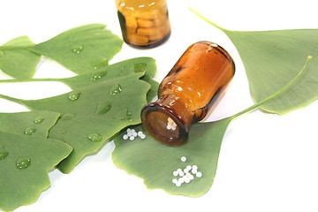 Image showing Ginkgo leaves with globules and pharmacist bottles