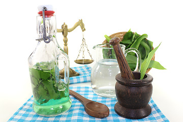 Image showing wild garlic tincture with mortar