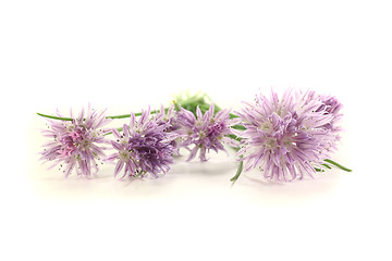 Image showing fresh green chives with blossoms
