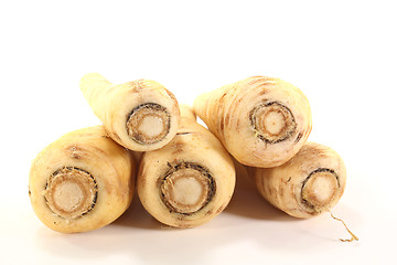 Image showing fresh Parsnip