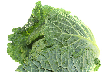 Image showing savoy cabbage