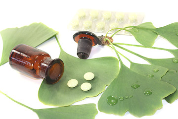 Image showing Ginkgo leaves with pills