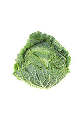 Image showing savoy cabbage