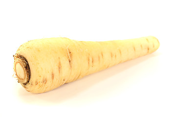 Image showing beige Parsnip