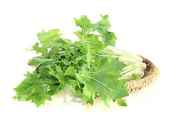 Image showing fresh Turnip green leafs 