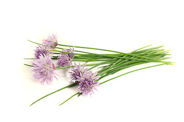 Image showing chives with leaves and blossoms