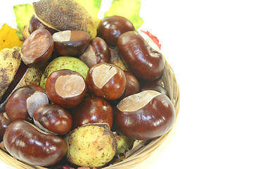 Image showing horse chestnuts in a basket