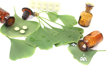 Image showing Ginkgo leaf with pharmacist bottle