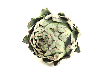 Image showing one artichokes