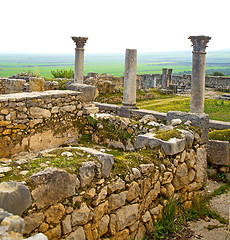 Image showing volubilis in morocco africa the old roman deteriorated monument 