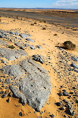 Image showing  old fossil in  the desert  