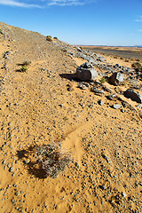 Image showing  old fossil in  the desert  bush  rock  stone sky