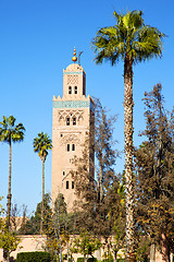 Image showing  muslim the history  symbol  in morocco  palm